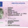 Driving License Change From Eu To UK