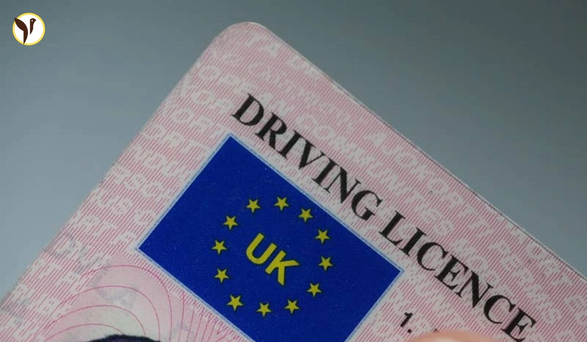UK Driving License Renewal