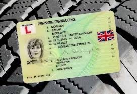 Gov.UK/View-Driving-License